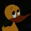 Alfred Jodocus Kwak