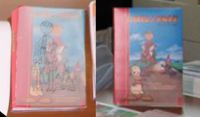 Both mock-ups of the previous picture warp perspective transformed to show them head on.