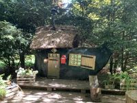 What the clog house looked like on May 3rd 2025