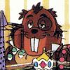 Bart 'Beton' Bever